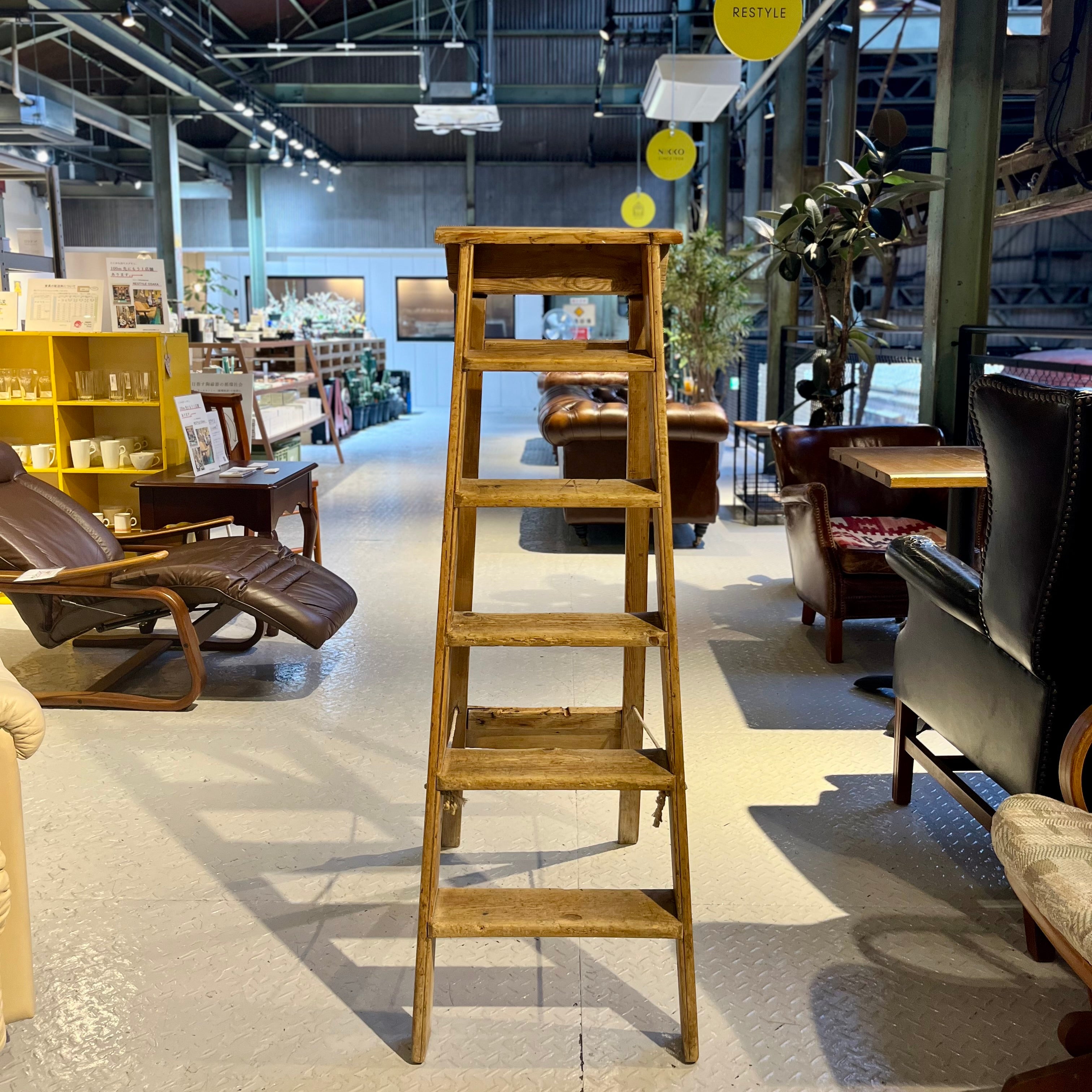 英国 アンティーク ステップラダー  梯子 ディスプレイ用