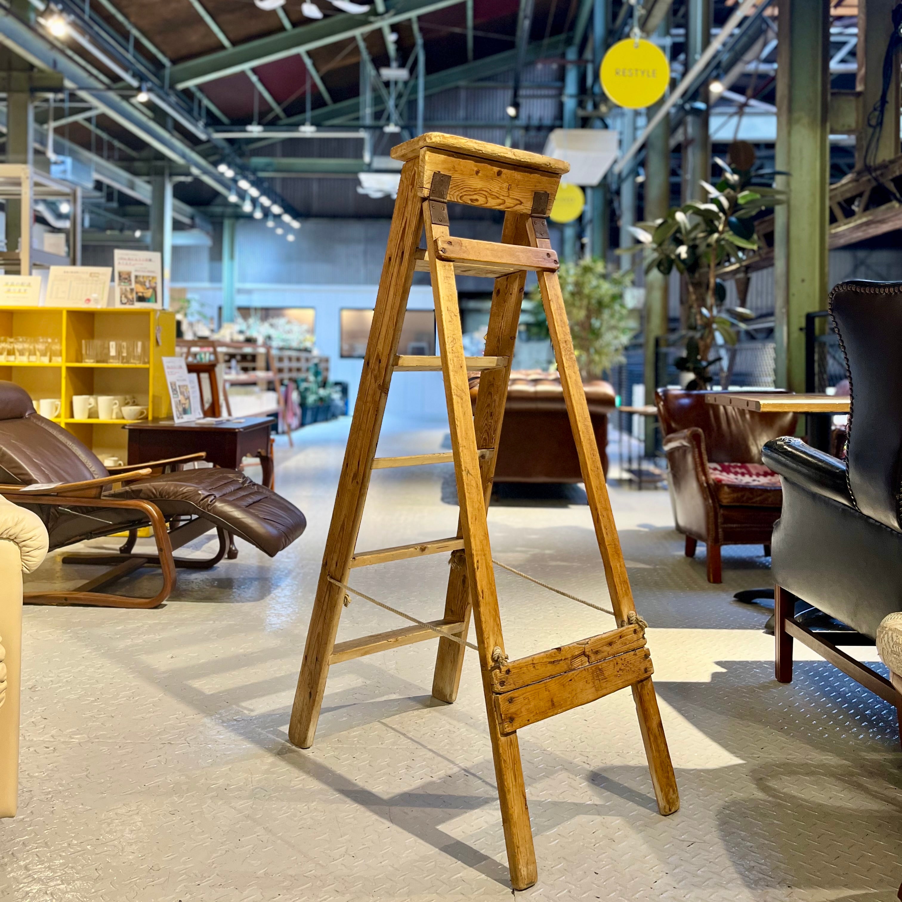 英国 アンティーク ステップラダー  梯子 ディスプレイ用