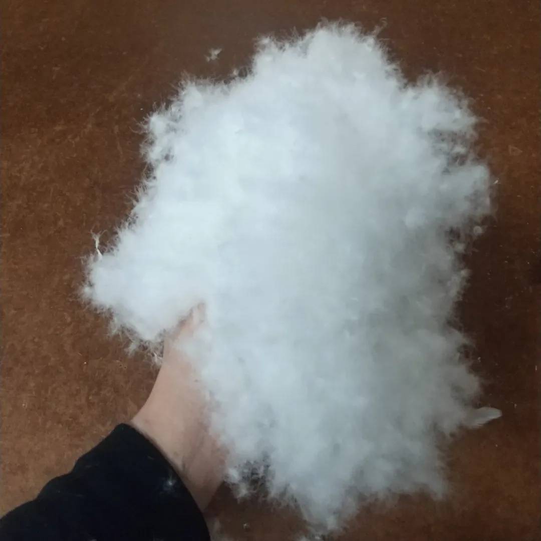 フルリフォーム羽毛布団 シングルサイズ【ホック付き2枚あわせ】 打ち直し リサイクルダウン リバイブモブラープロジェクト