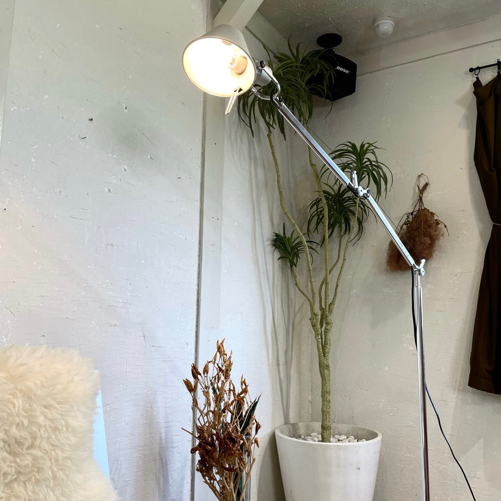 アルテミデ / Artemide トロメオ  テラ / TOLOMEO TERRA フロアライト TOLOMEO Floor シルバー 中古