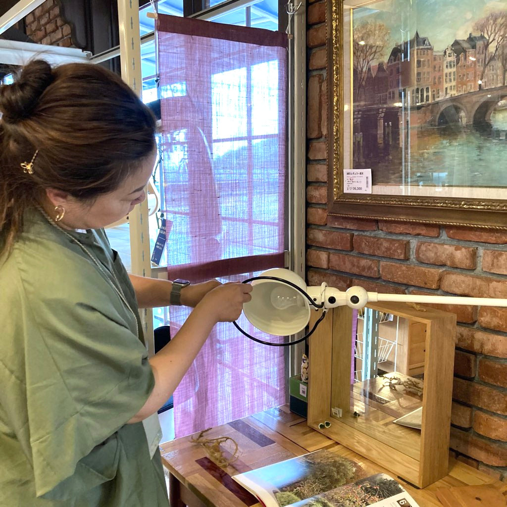 ジェルデ / JIELDE 2アーム デスクランプ クランプ インダストリアル ヴィンテージ