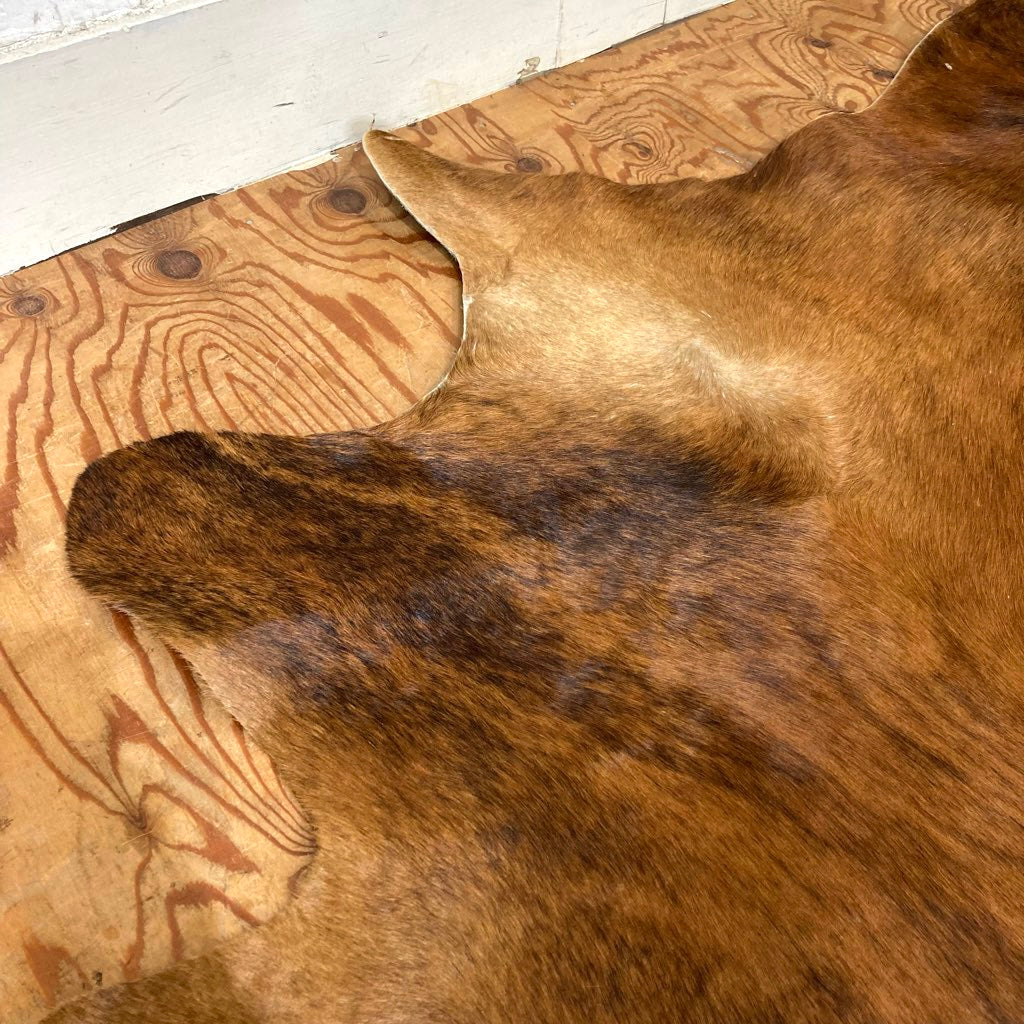 カウラグ ブラウン 大判 ハラコ 敷物 中古