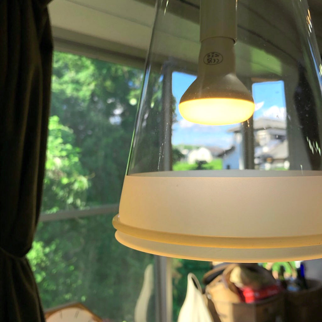 フロス / Flos フーシア / FUCSIA 1灯 ペンダントライト 中古