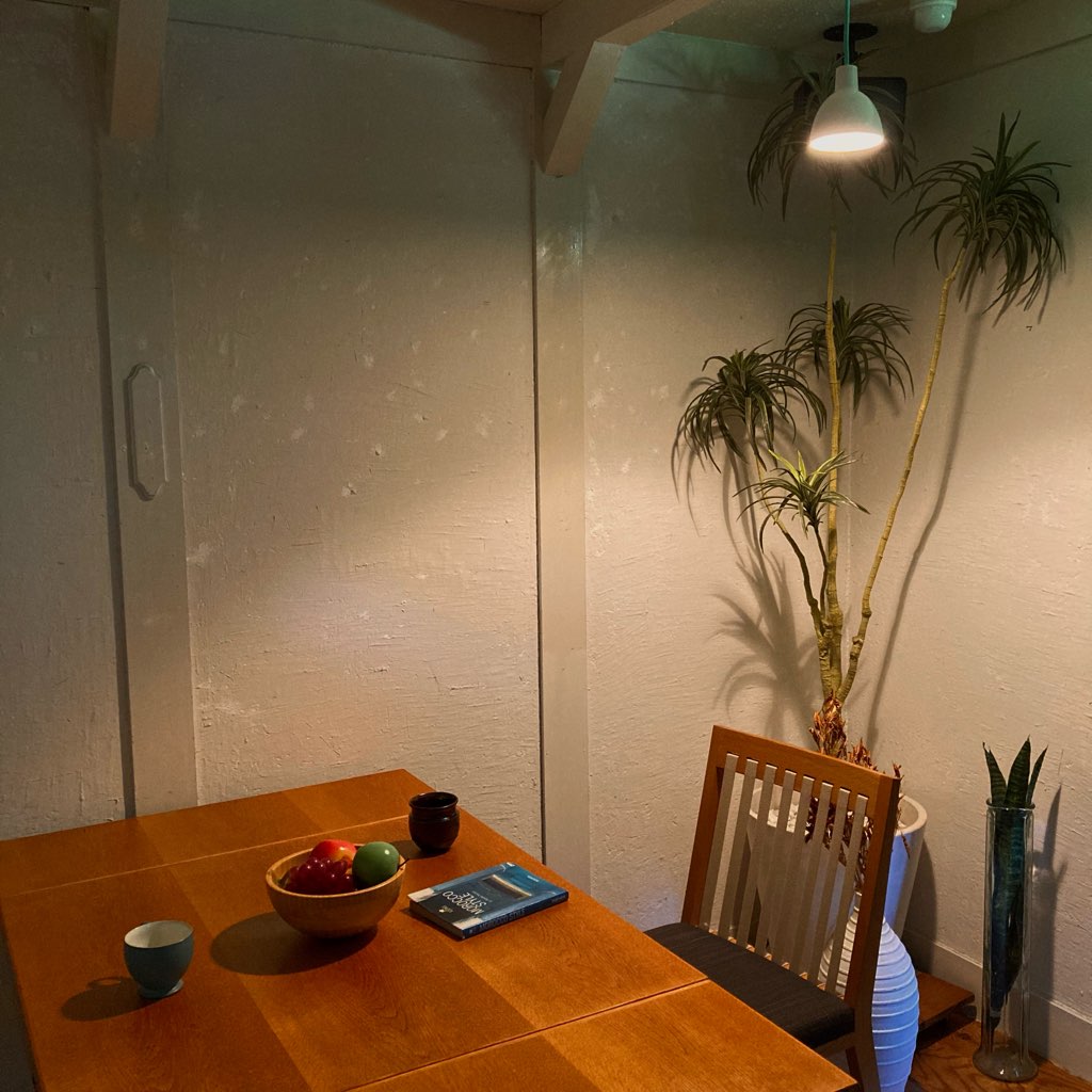 ルイスポールセン / Louis Poulsen トルボー ペンダントライト 120 中古