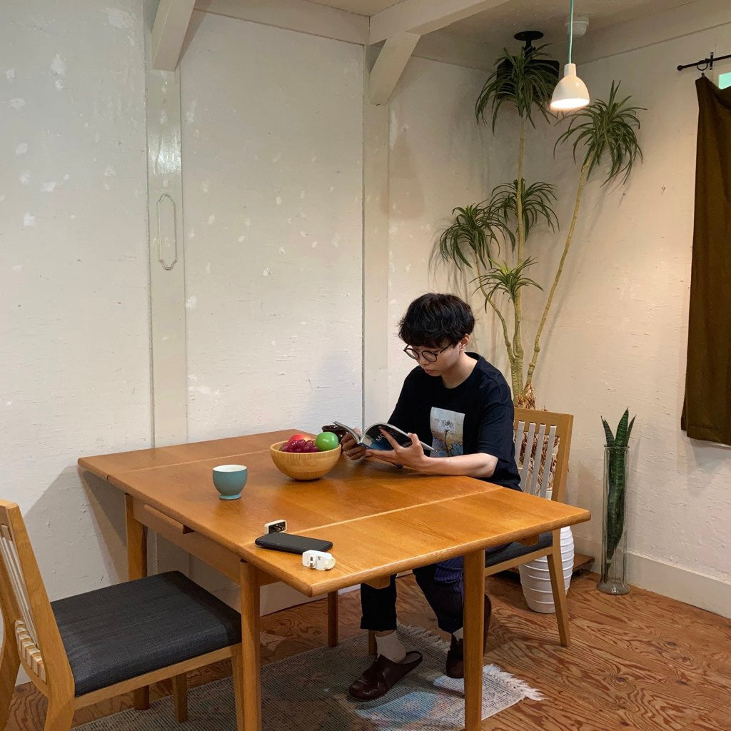 ルイスポールセン / Louis Poulsen トルボー ペンダントライト 120 中古