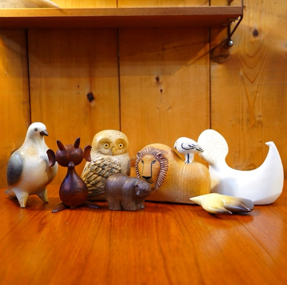 バーズワーズ / BIRDS' WORDS ピーコック / PEACOCK ホワイト Lサイズ