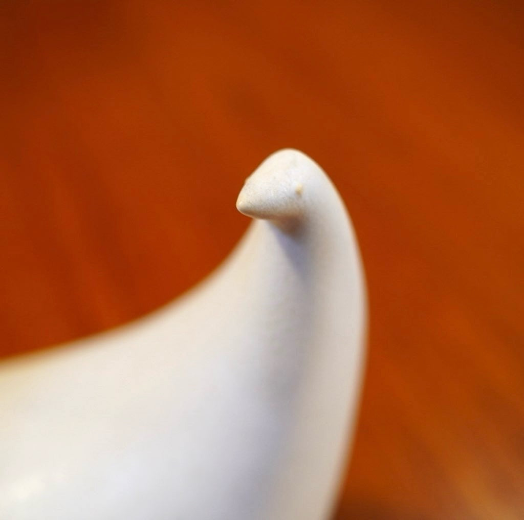 バーズワーズ / BIRDS' WORDS ピーコック / PEACOCK ホワイト Lサイズ