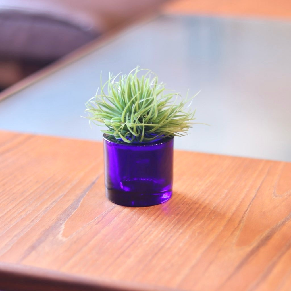イッタラ / iittala キビ / kivi マリメッココラボ キャンドルホルダー コバルトブルー