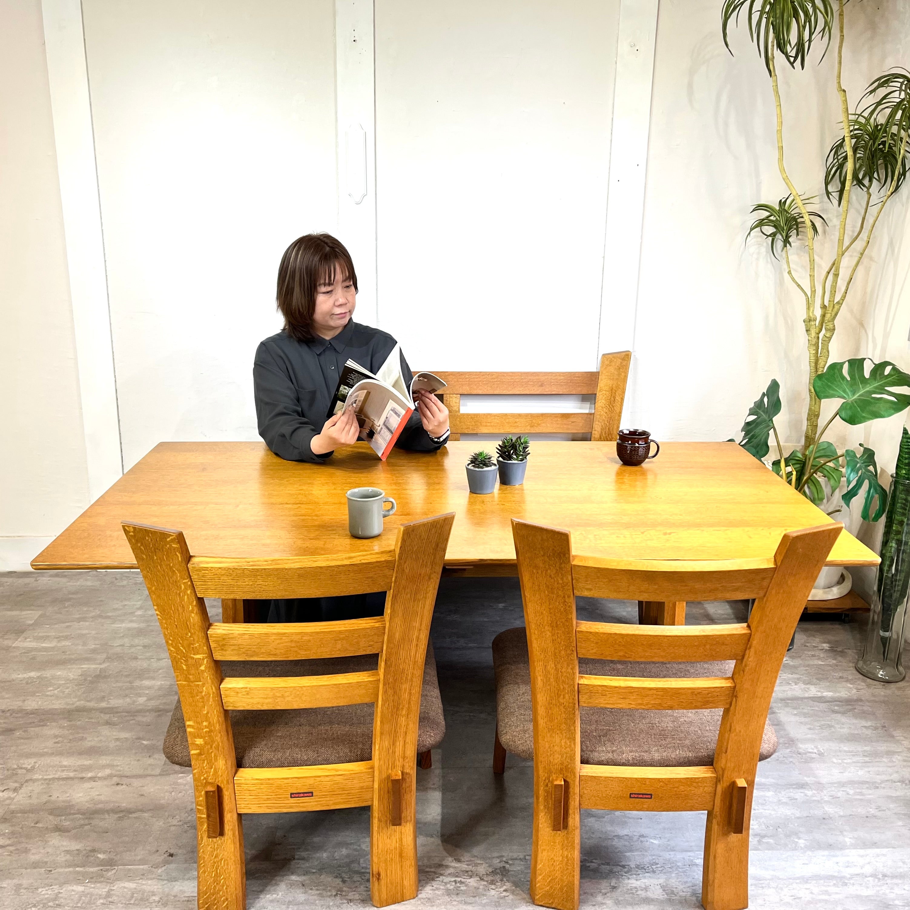 シラカワ オーク材 ダイニング 4点セット 低座 テーブル+ベンチ+チェア2脚SET
