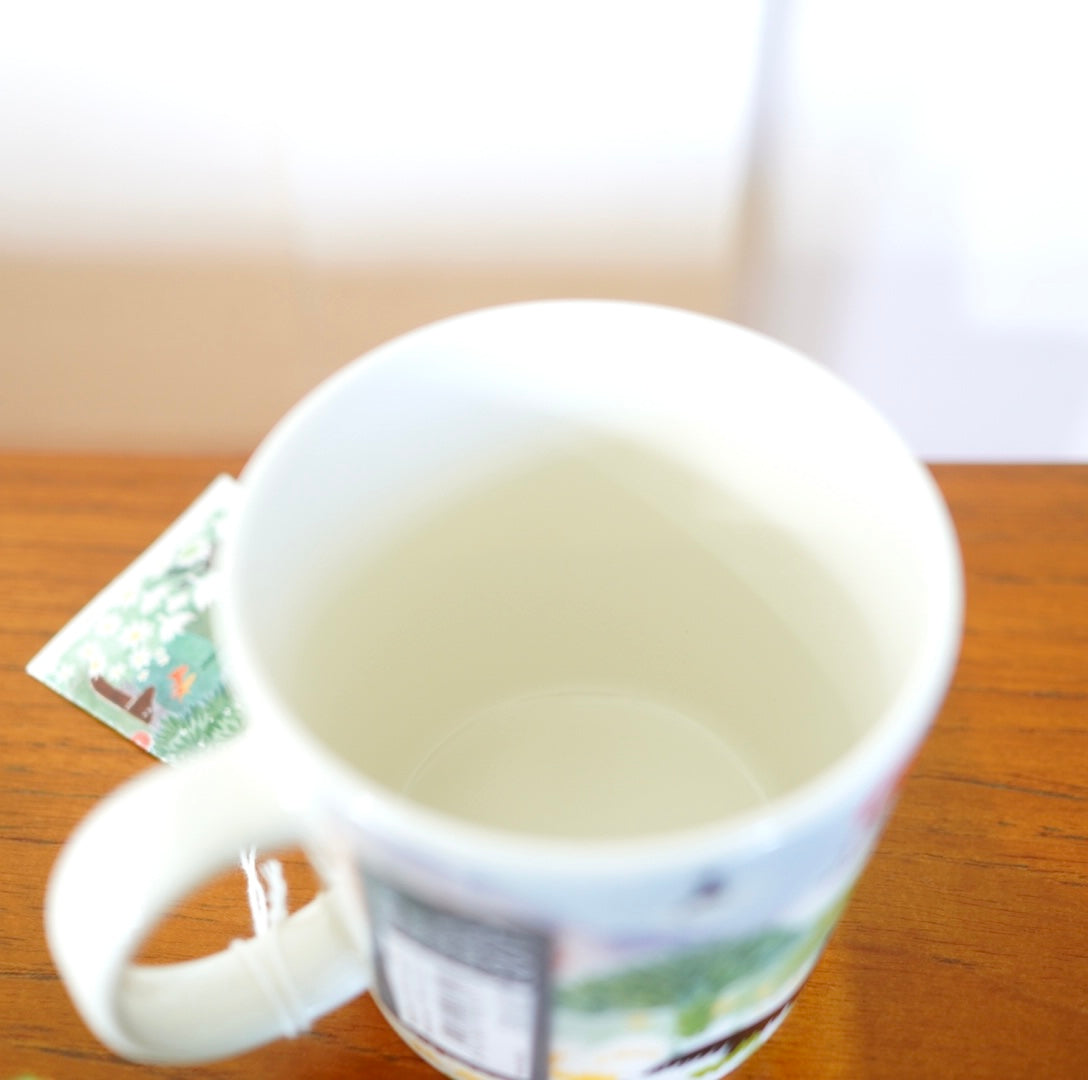 アラビア / ARABIA ムーミン マグカップ ムーミンバレー 2017年