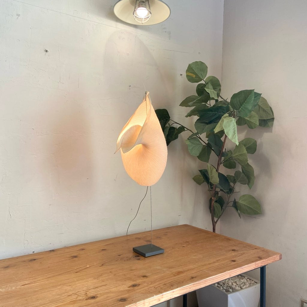 インゴマウラー / INGO Maurer ガク テーブルライト ドイツ