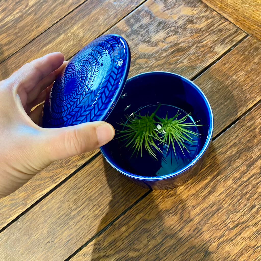 ロールストランド / Rorstrand ブラエルド / Bla Eld蓋つきボウル 青 スウェーデン ヴィンテージ