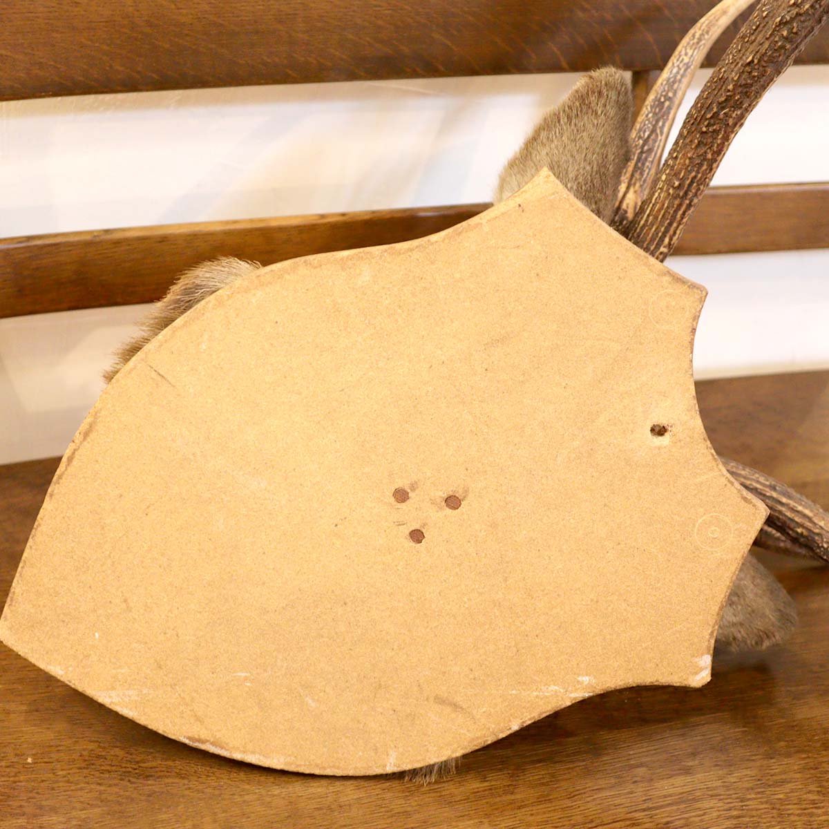 鹿の剥製 ハンティングトロフィー オブジェ 中古