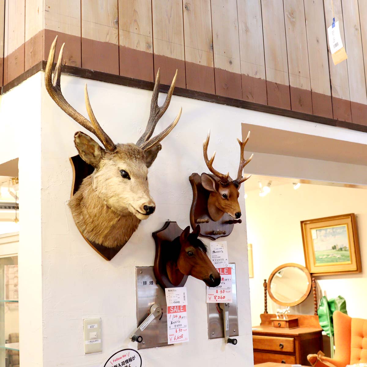 鹿の剥製 ハンティングトロフィー オブジェ 中古