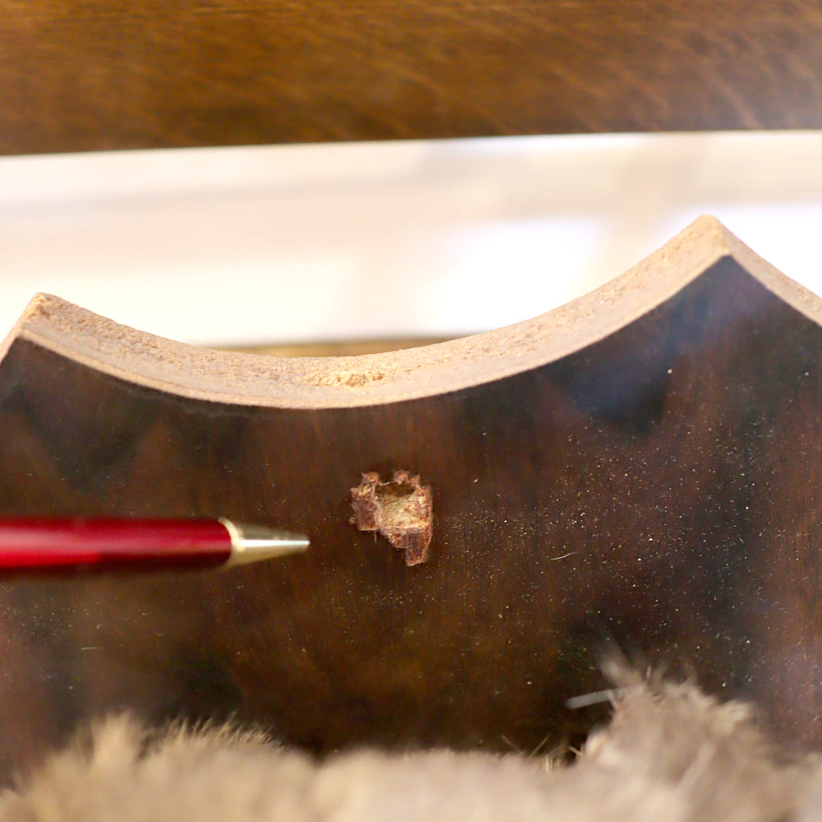 鹿の剥製 ハンティングトロフィー オブジェ 中古