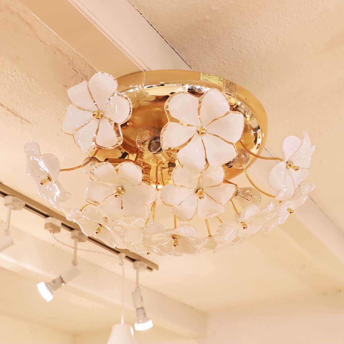 ヤマギワ B.C. SAN MICHELE / B.C. サンミッシェル 花びらシャンデリア 6灯 中古