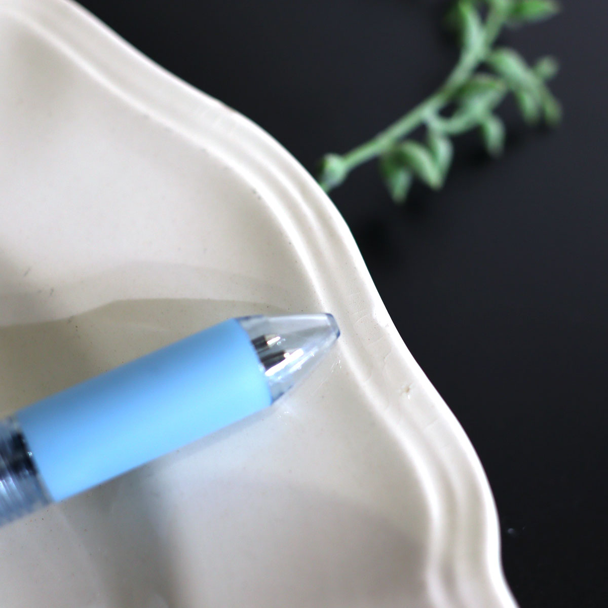 ディゴワン&サルグミンヌ / DIGOIN ET SARREGUEMINES 花リム プレート アンティーク