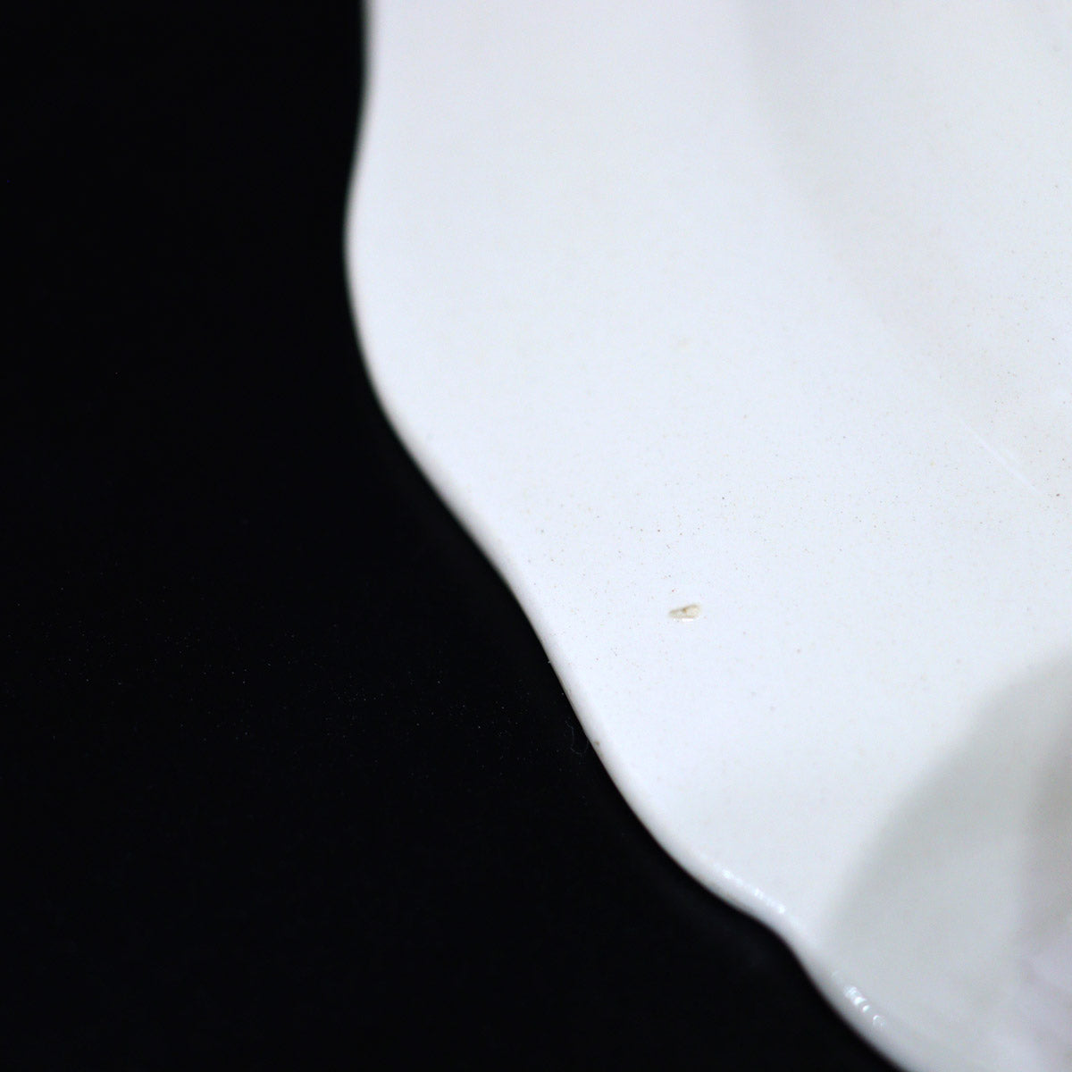 ディゴワン&サルグミンヌ / DIGOIN ET SARREGUEMINES 花リム プレート アンティーク