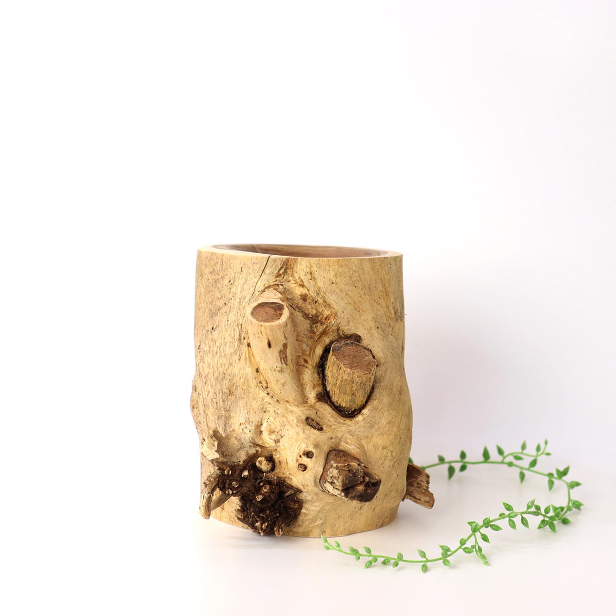 リバイブモブラープロジェクト 輪切りキートレイ 大杉 御神木からできた地球にやさしいトレー 【特大】