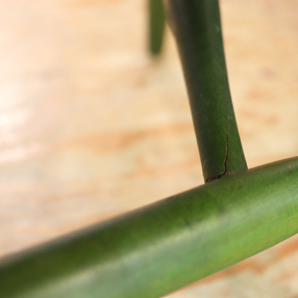 アームチェア グリーン ヴィンテージ スポークチェア