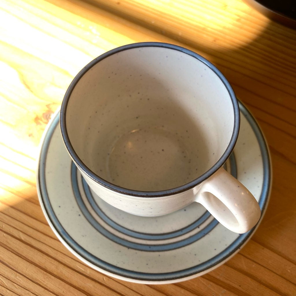 グスタフスベリ / Gusatavsberg ダート / DART カップ&ソーサー ヴィンテージ