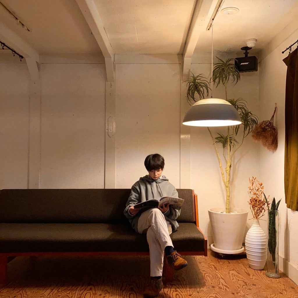 ルイスポールセン / Louis Poulsen AJロイヤル Φ500 ペンダントライト グレー アルネ・ヤコブセン 北欧 名作 希少  ヴィンテージ<i>動画</i>