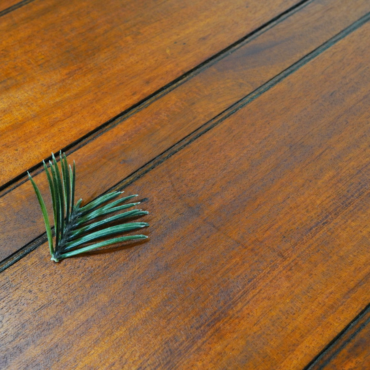 英国アンティーク ドローリーフテーブル 猫脚