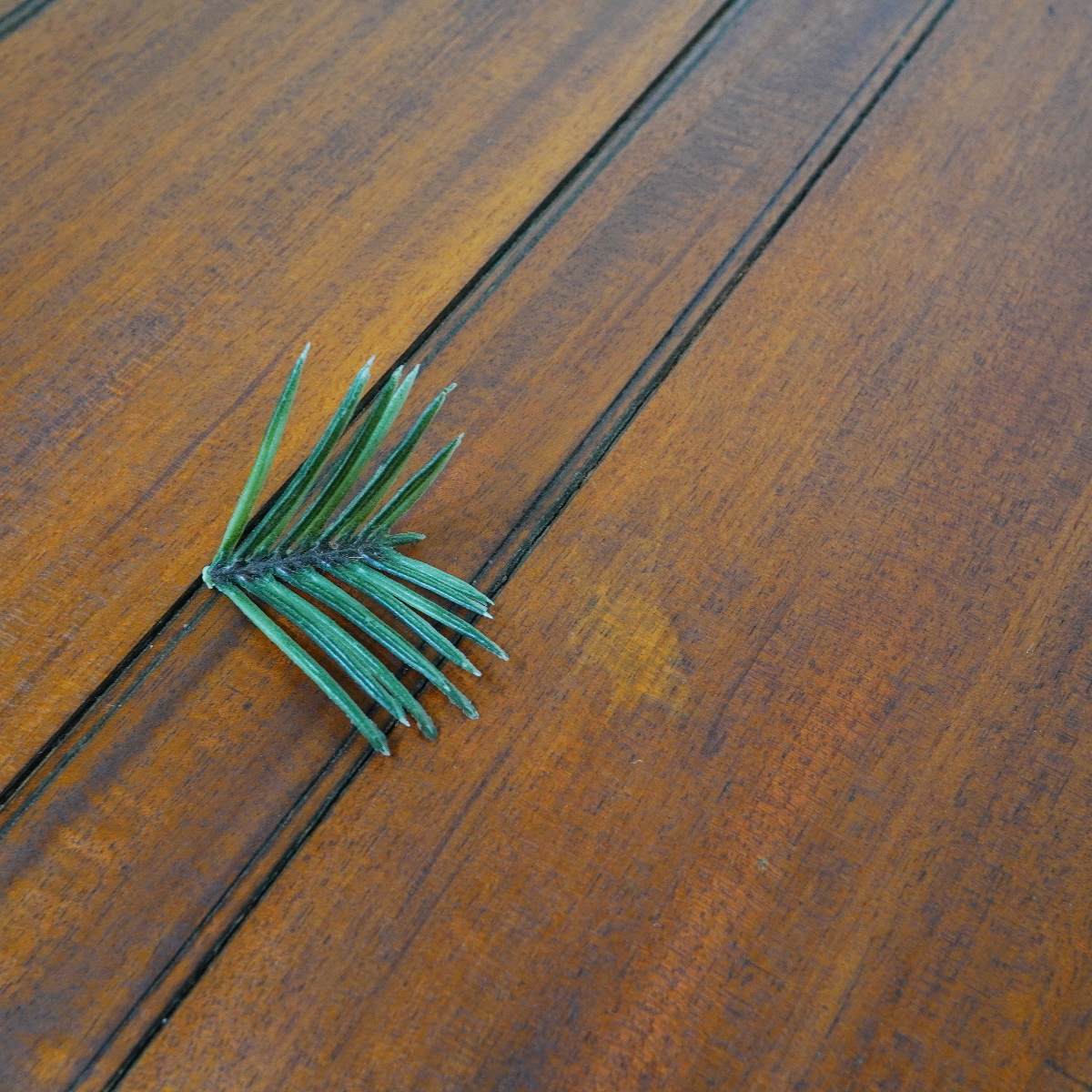 英国アンティーク ドローリーフテーブル 猫脚