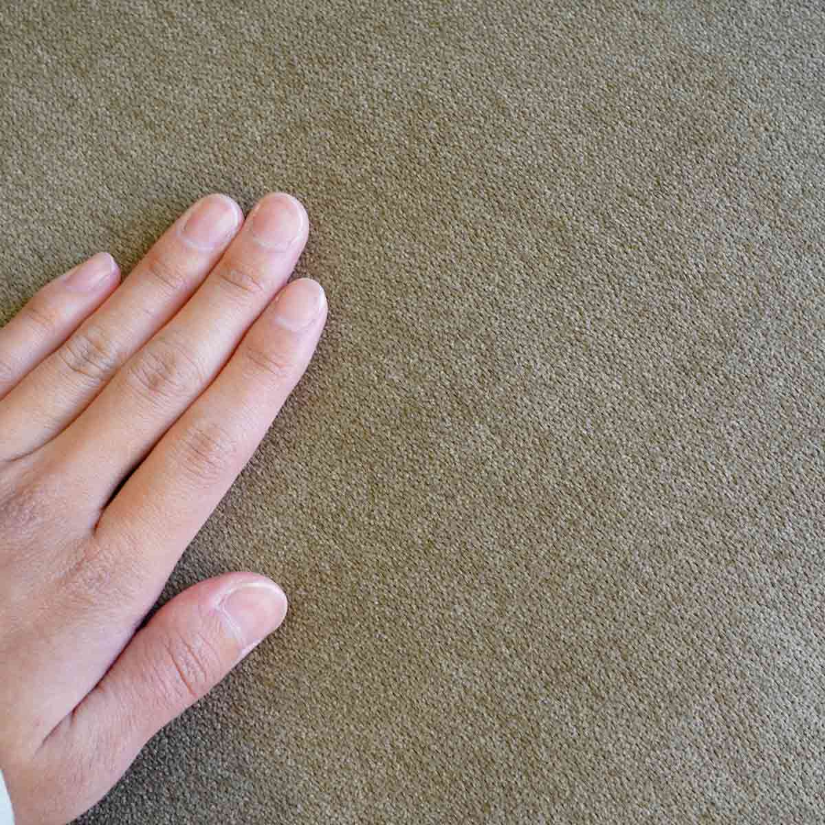 ソース / source プーロ / PURO ソファ 196 未使用 アウトレット品