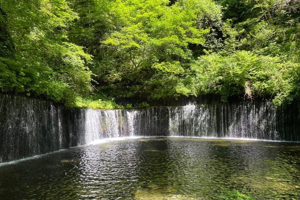 循環する建築・循環する家具