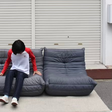 リーン・ロゼ / ligne roset ロゼトーゴ / ROSETTogo 1P ソファ Michel Ducaroy / ミッシェル・デュカロワ