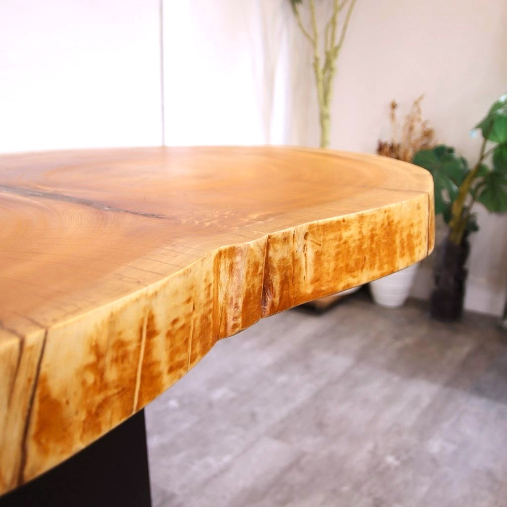 テーブル用・ケヤキ輪切り材