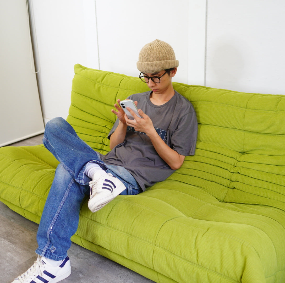 ligne roset ROSETTogo / リーン・ロゼ ロゼトーゴ 3P