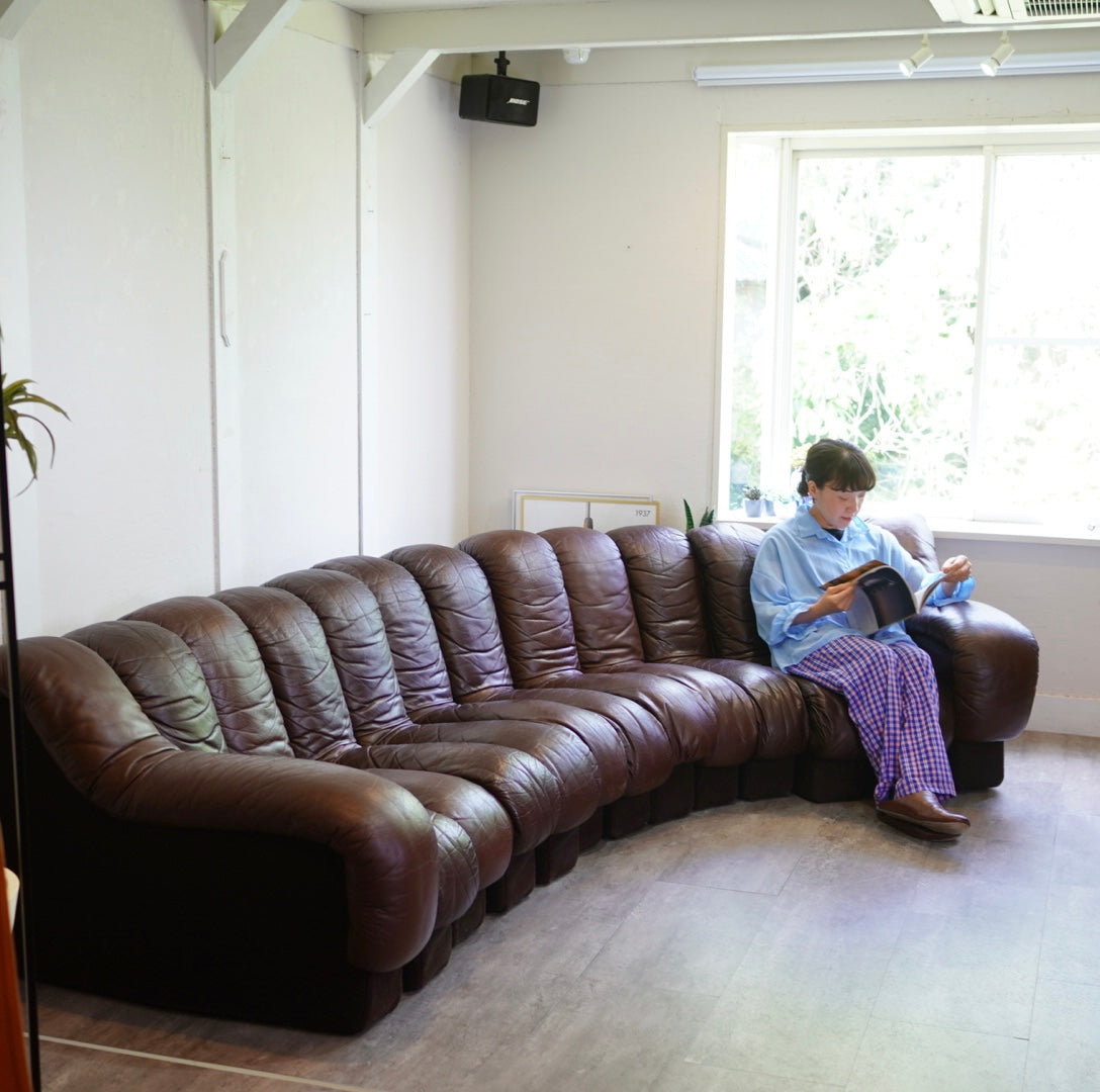 モビリア / mobilia デセデ スネークソファ 13連 本革 ヴィンテージ