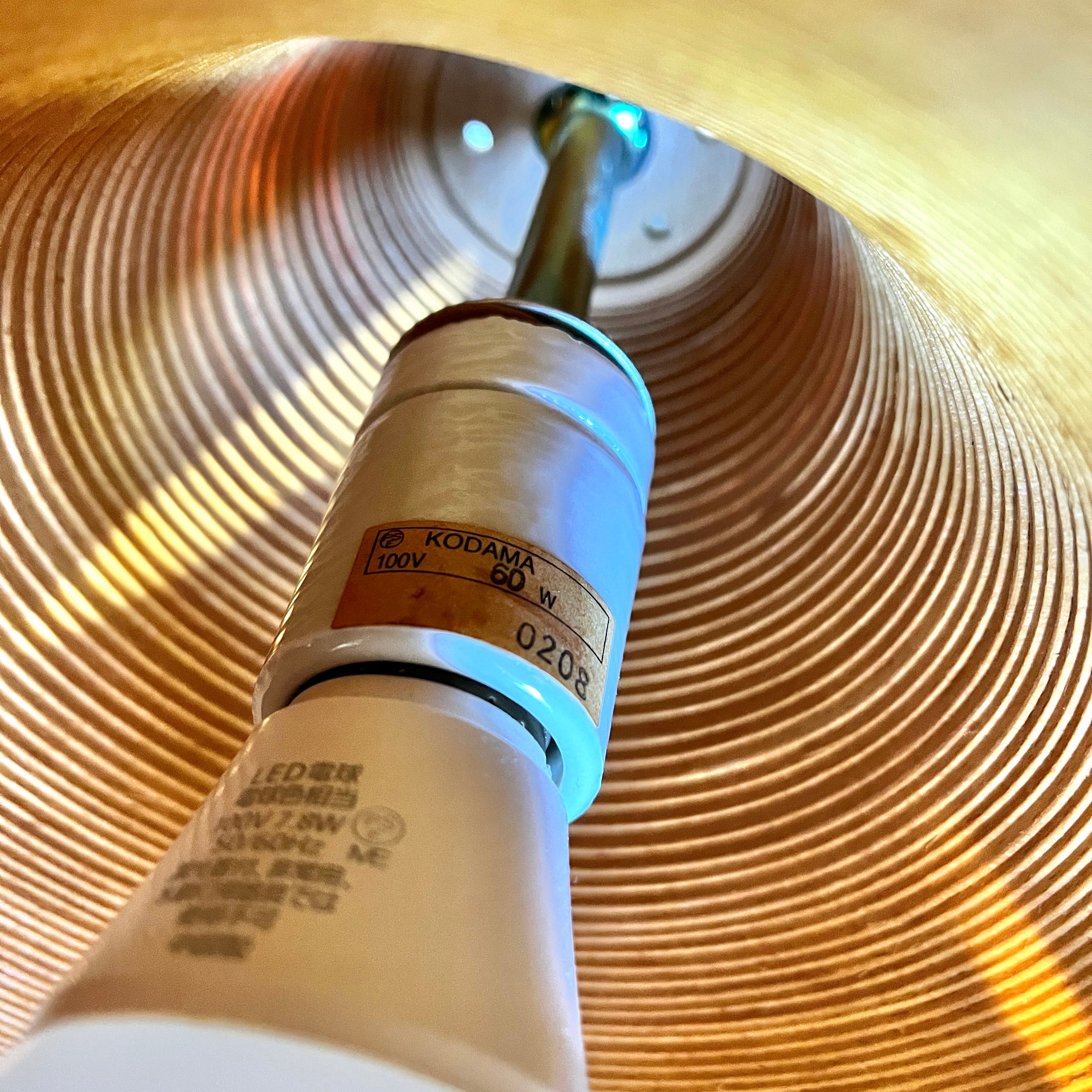 ブナコ × マイスター Wind1 ペンダントライト ブナ材 武松幸治