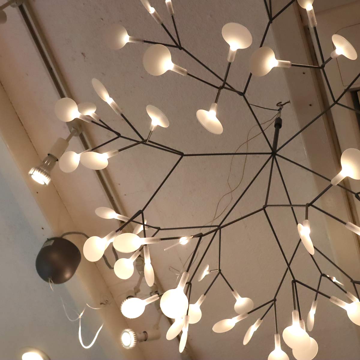 モーイ / moooi ヘラクレウム2 63灯 LED 照明 ライト 住宅展示場展示品