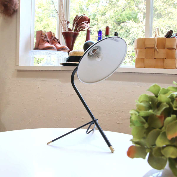 第一ネット DI CLASSE ディクラッセ Arles アルル デスクランプ 水色