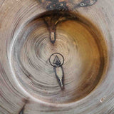 リバイブモブラープロジェクト 輪切りキートレイ 大杉 御神木からできた地球にやさしいトレー