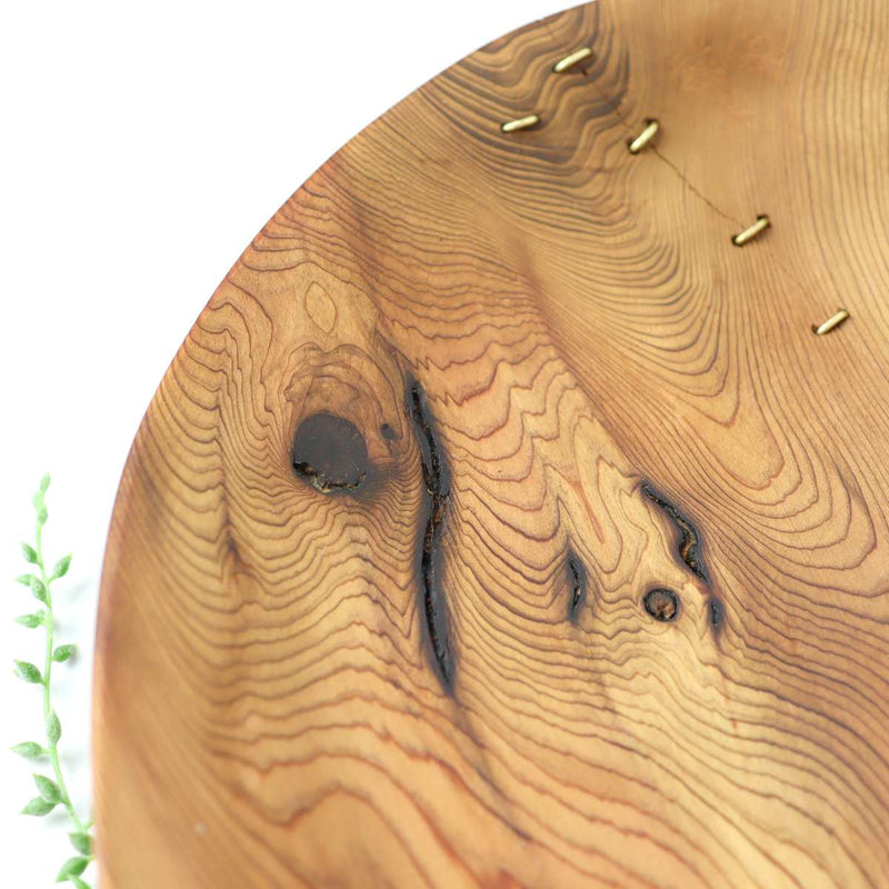 リバイブモブラープロジェクト 樹齢670年の御神木大杉から作ったウッドボウル 木の器 御神木 大杉 SDGs 【19/30】特大