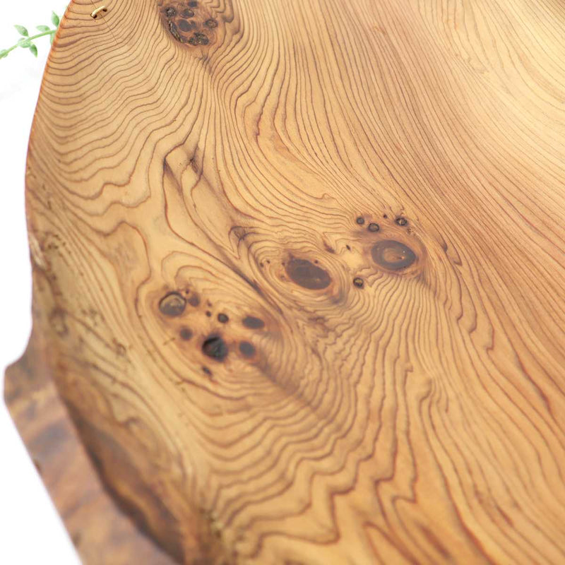 リバイブモブラープロジェクト 樹齢670年の御神木大杉から作ったウッドボウル 木の器 御神木 大杉 SDGs 【20/30】異形