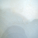 ハーマンミラー / Herman Miller アームシェルチェア 3rd Hベース チャールズ＆レイ・イームズ  FRP ヴィンテージ
