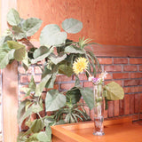 ホルムガード / Holmegaard クリア フラワーベース 花器 花瓶　北欧 中古