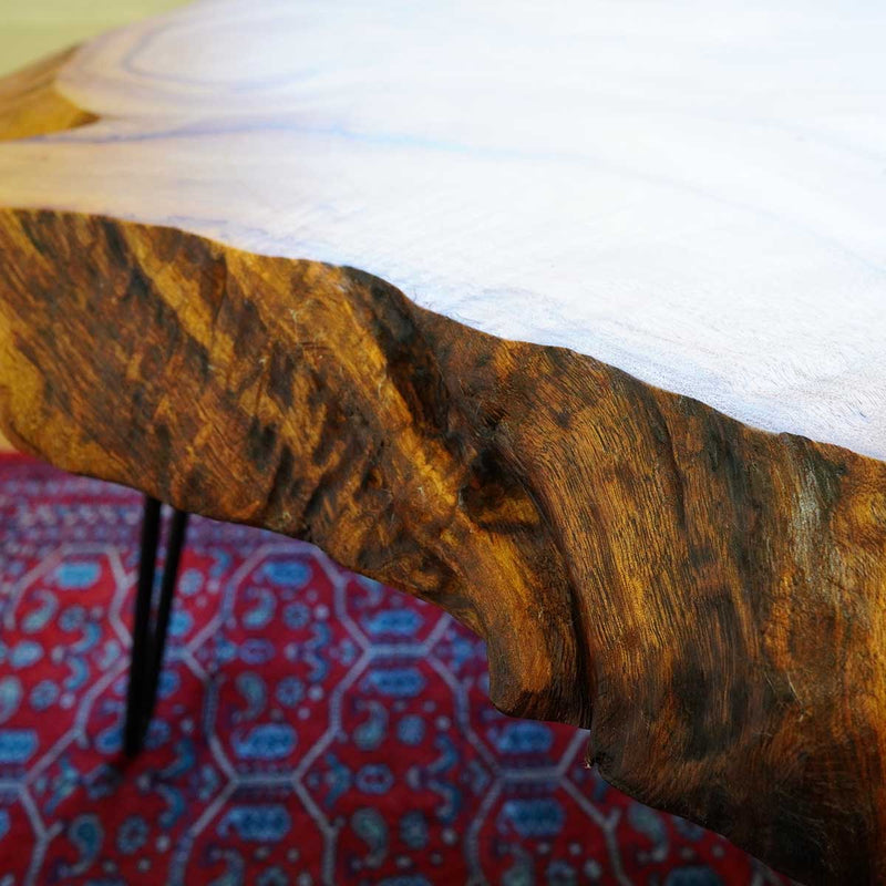 輪切りの立派な一枚板に新品の鉄脚を付けて作ったコーヒーテーブル ローテーブル リバイブモブラープロジェクト